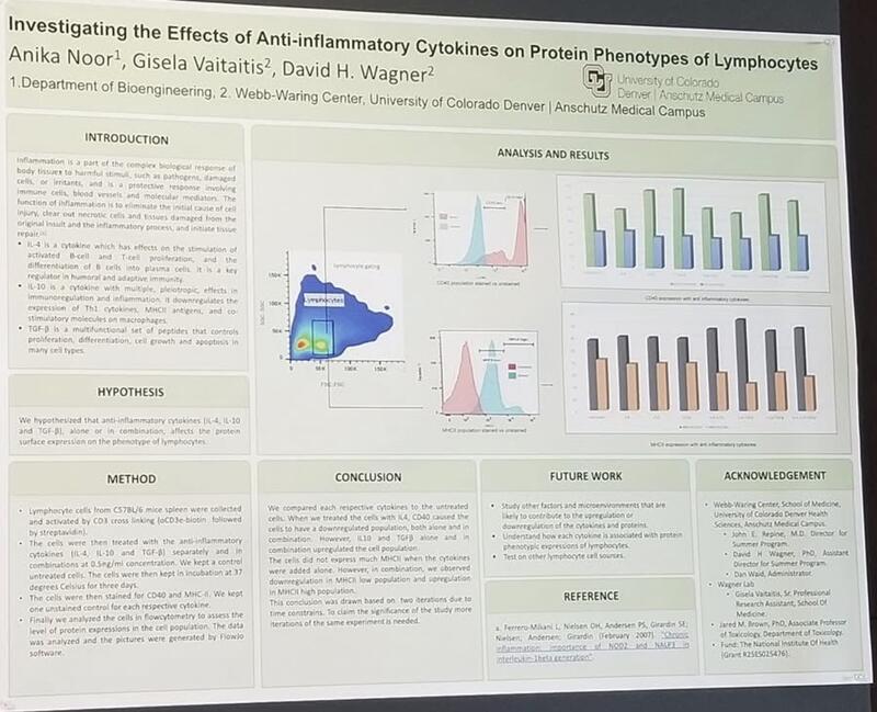 Scientific research poster investigating the effects of anti-inflammatory cytokines on lymphocyte protein phenotypes, with flow cytometry plots and results